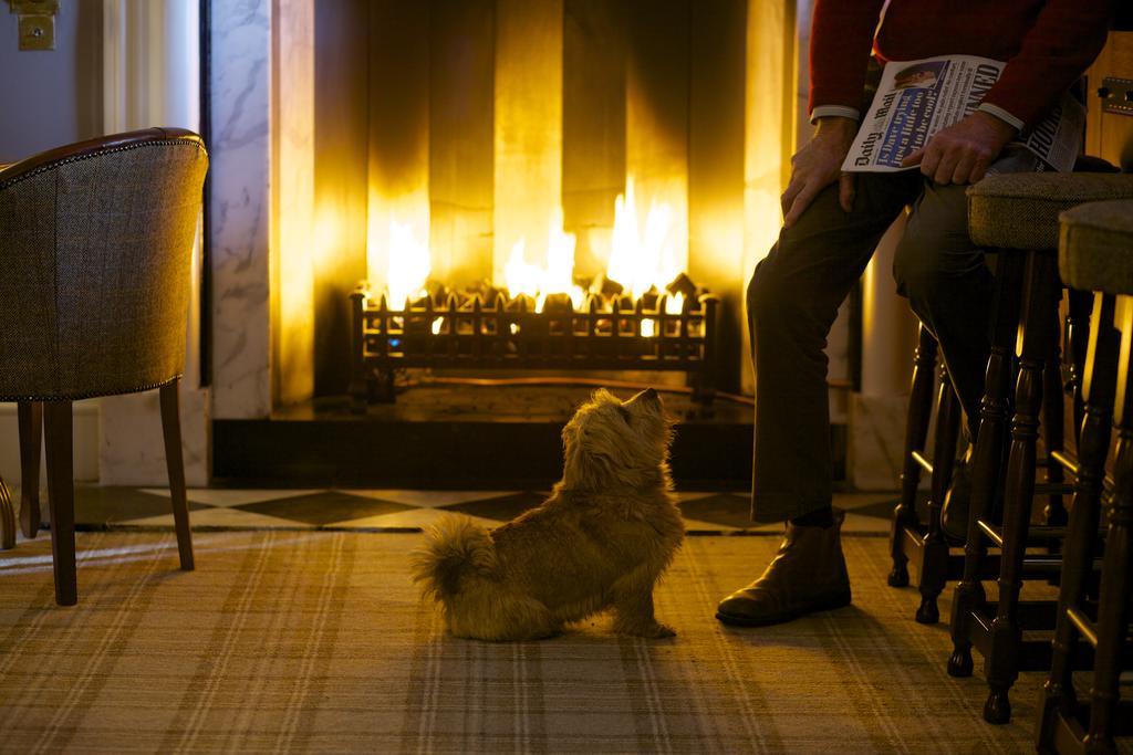 Headlam Hall Hotel Экстерьер фото